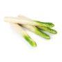 Coffret d'Asperges 175g