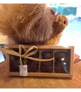 CHOC'OURSONS GUIMAUVE VANILLE LAIT ou NOIR