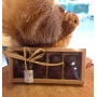 CHOC'OURSONS GUIMAUVE VANILLE LAIT ou NOIR