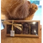 CHOC'OURSONS GUIMAUVE COCO LAIT OU NOIR