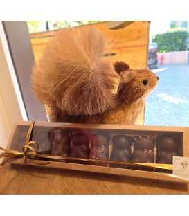 CHOC'OURSONS GUIMAUVE 8 PIECES