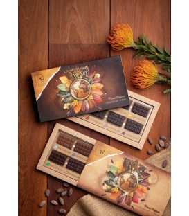 Réglette découverte pures Origines