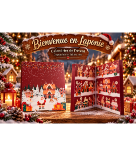 CALENDRIER DE L'AVENT " BIENVENUE EN LAPONIE"